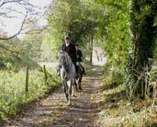 Ireland-Connemara/Galway-Cross Country Winter Escape